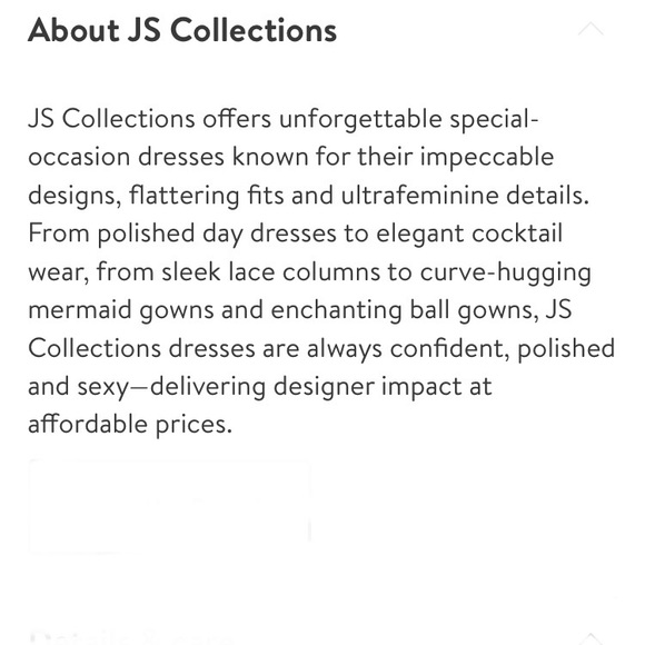 NWT JS Collection Scallop V Neck Embroidered Mesh Gown Size 16W - Picture 6 of 10